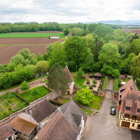 La Ruine - Gite D'Alsace Jusqu'A 10 Personnes Avec Spa Interieur Guémar المظهر الخارجي الصورة